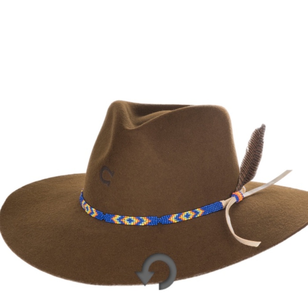 CHARLIE1Horse hat Size M worn twice